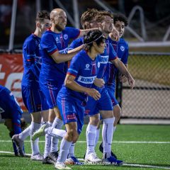 Manly United celebrate Harry McCarthy's goal during their 2023 NPL NSW Men's Round 23 game against Marconi Stallions. Photo credit: Jeremy Denham