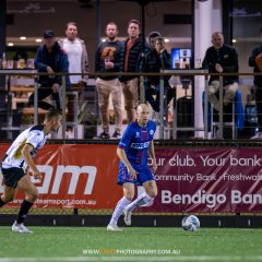 Matt Sim scans for options during the 2023 NPL NSW Men's Round 15 game between Manly United and Bulls FC Academy at Cromer Park. Photo credit: Jeremy Denham