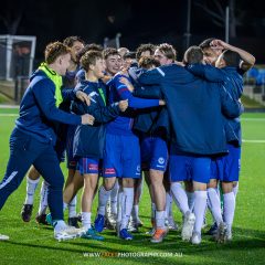 Manly United celebrate Harry McCarthy's goal during their 2023 NPL NSW Men's Round 25 game against APIA Leichhardt at Cromer Park. Photo credit: Jeremy Denham