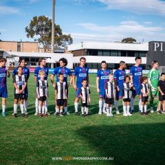 Manly United line up with mascots from Narrabeen before their 2023 NPL NSW Men's Round 28 game against Western Sydney Wanderers. Photo credit: Jeremy Denham