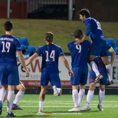 Manly United celebrate Jimmy Oates' goal during their 2023 NPL NSW Men's game against Sutherland Sharks, played at Cromer Park. Photo credit: Jeremy Denham